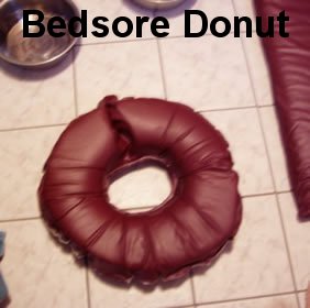 donut